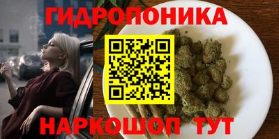 дмт Моздок