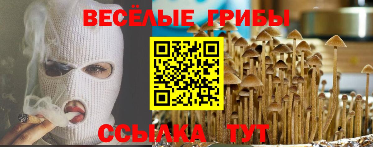 Галлюциногенные грибы Cubensis  Вход с VPN  где купить наркотик  Тольятти 